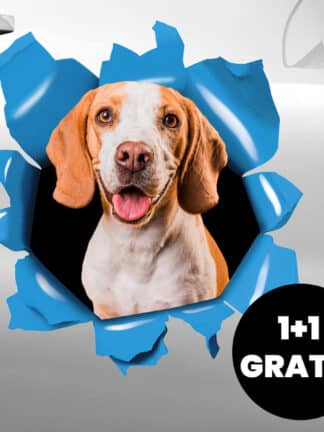 Naklejka na samochód 1+1 GRATIS