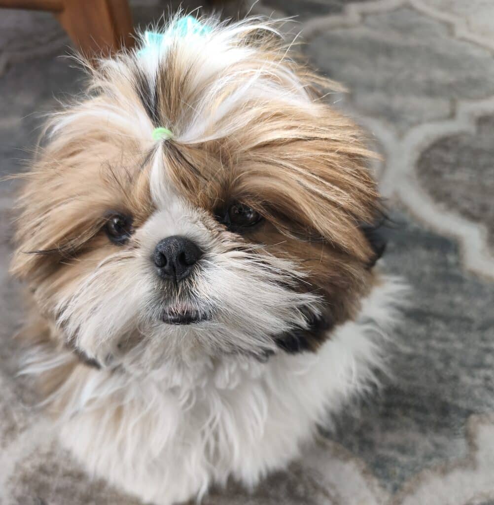 Obrazek #1 z Rafał Wrzesiński