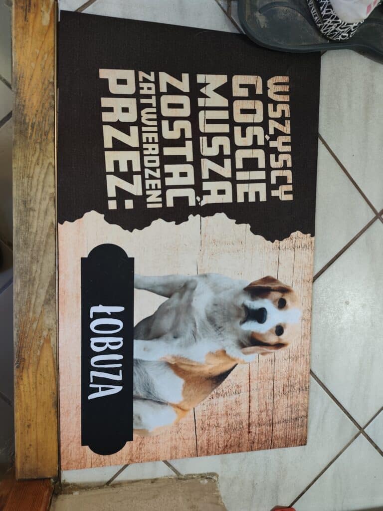 Obrazek #1 z Joanna