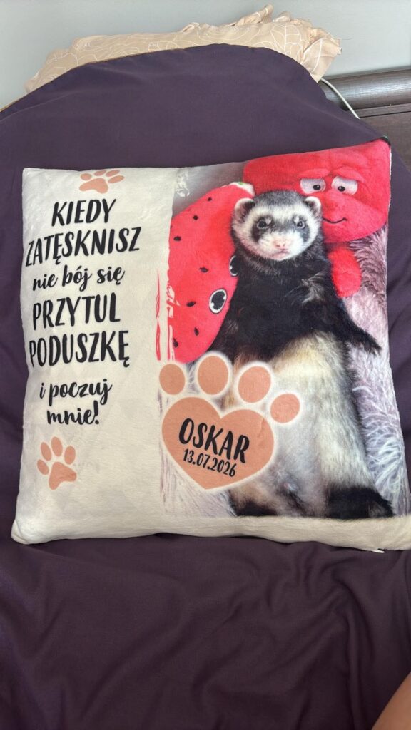 Obrazek #1 z Agata M.