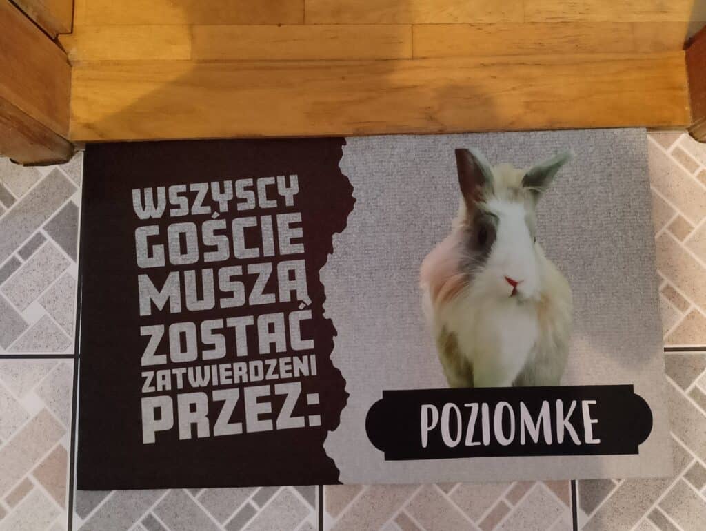 Obrazek #1 z Marcin
