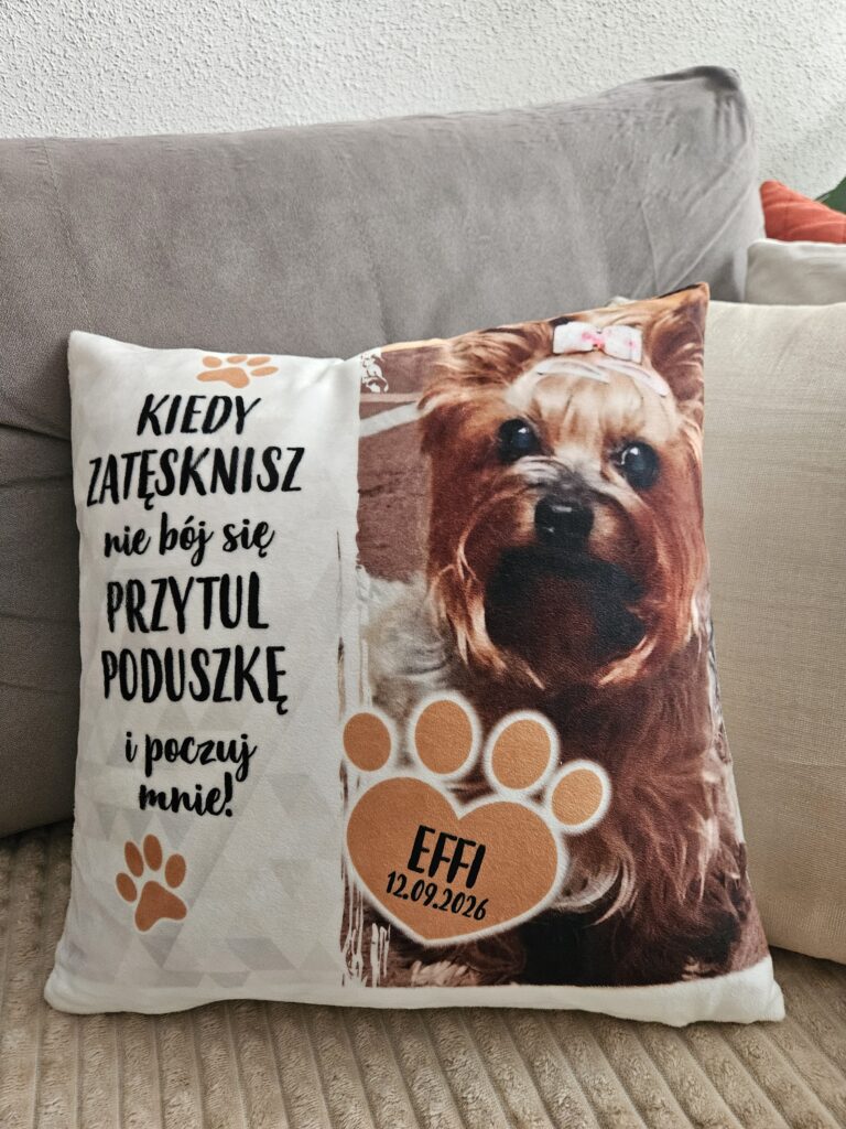 Obrazek #1 z Krzysztof